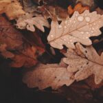 Regen im Herbst