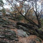 Welterbesteig bei St. Michael